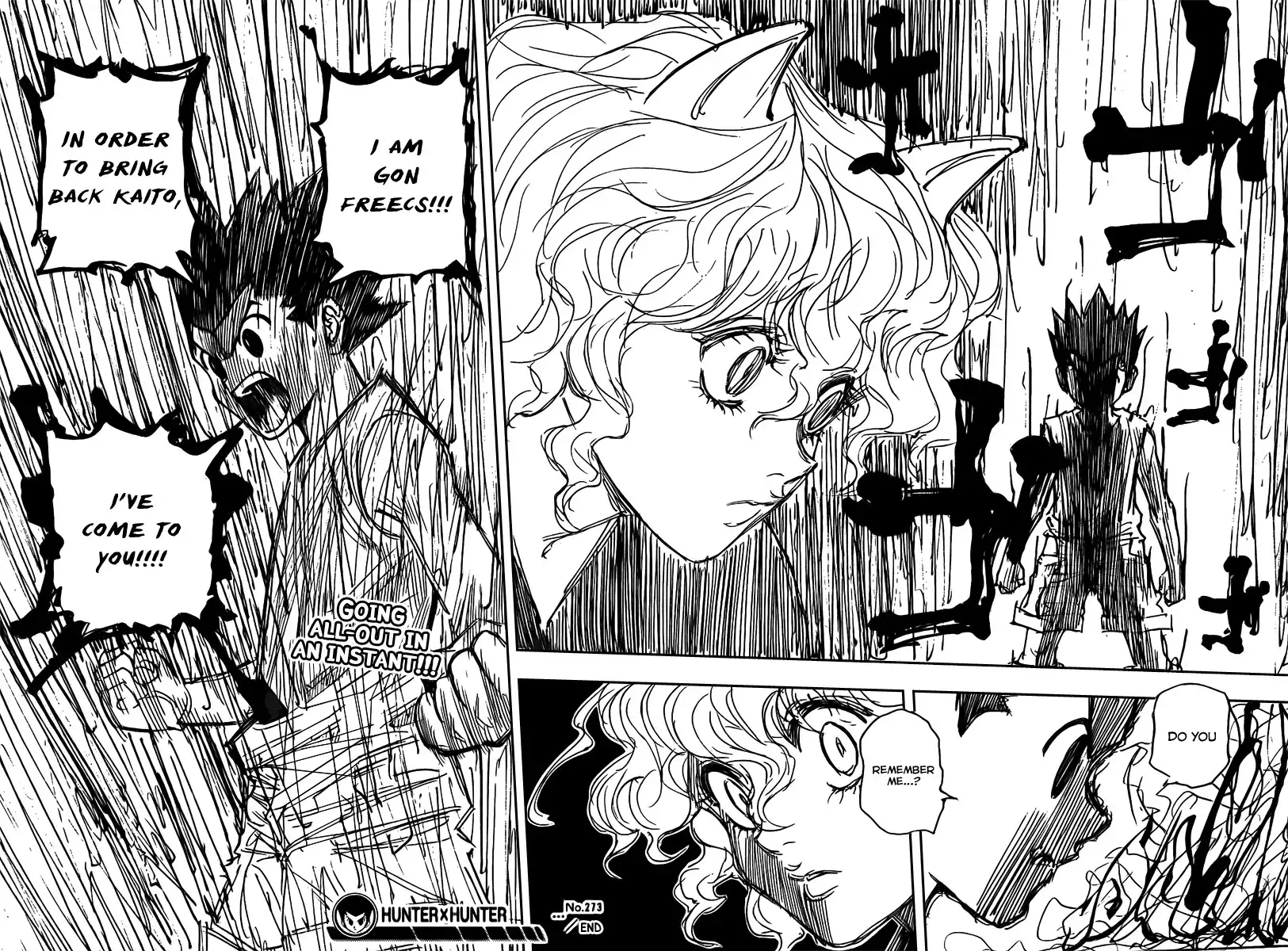 Hunter x Hunter Chapter 273 18